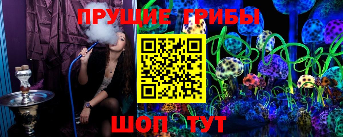 Псилоцибиновые грибы мицелий  Псилоцибиновые грибы GOLDEN TEACHER  Губкинский  Вход с VPN 